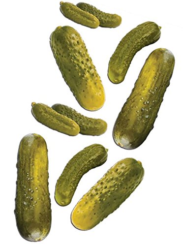 Custom & Decorative {1" to 3â€ Inch} 9 Count Pack of Mid-Size Stickers for Arts, Crafts & Scrapbooking w/ Cute Cartoon Foods Sweet Dill Pickles Pregnant Cravings Style {Multicolor}