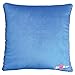 iscream Summertime Sweets Airheads Xtremes Square Fleece-Backed Microbead Pillow