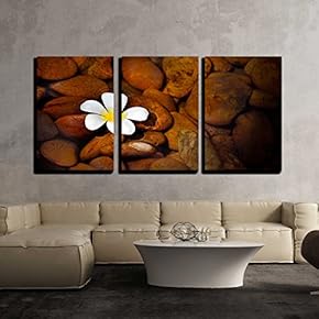 3 Piece Canvas Wall Art - a Plumeria on Clear Lake. - Modern Home Art Stretched and Framed Ready to Hang - 16"x24"x3 Panels
