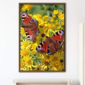 signwin Framed Canvas Wall Art Butterflies Butterfly Colorful...