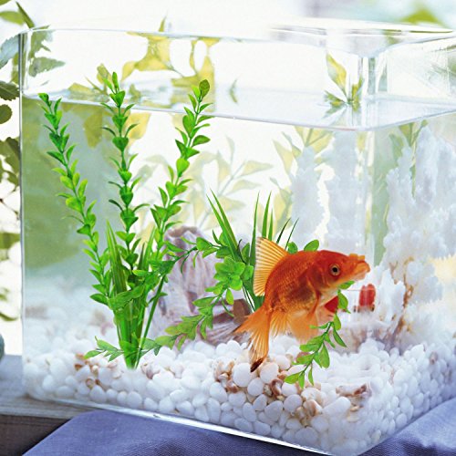 The Bloom Times Fish Tank Decoration 6Pcs/Bag,12inch High Green Artificial Aquatic Plant,Used For Household And Office Aquarium Simulation Plastic Hydroponic Plants - Thumbnail 4