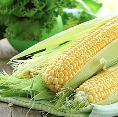 Golden Bantom Corn Seeds, 50+ Premium Heirloom Seeds, Sweet Corn, ON SALE!, (Isla's Garden Seeds), Non Gmo Organic, 85% Germination, Survival Seeds, Highest Quality Golden Bantom Corn Seeds, 50+ Premium Heirloom Seeds, Sweet Corn, ON SALE!, (Isla's Garden Seeds), Non Gmo Organic, 85% Germination, Survival Seeds, Highest Quality
