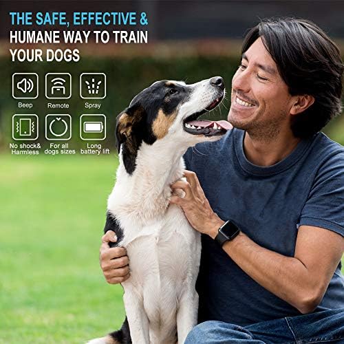 dog training collar citronella spray