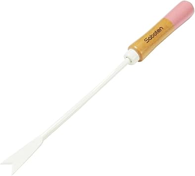Amazon サボテン 根切り No 521e ピンク 36cm ガーデン