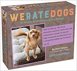 WeRateDogs 2019 Day-to-Day Calendar, by Matt Nelson