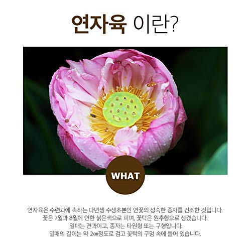 Lotus Seeds Dried 100% Natural Pure and Superior Quality Antioxidant 연자육 蓮子 (300g)