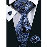 Hi-Tie Mens Blue Jacquard Woven Silk Tie Necktie Hanky Cufflinks set