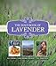 The Maui Book of Lavender by Alii Chang, Lani Medina Weigert