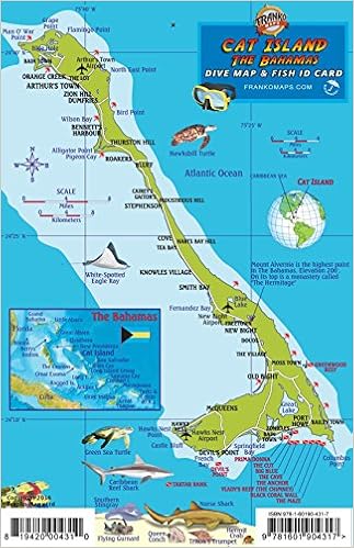 Cat Island Bahamas Dive Map & Reef Creatures Franko Maps Laminated Fish Card