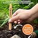 Natural Charcoal Bamboo Toothbrushes (Pack of 5) for Adults with Soft Bio-Based Nylon Bristles - Individually Packed & Numbered, Organic Compostable Plastic Free Packaging