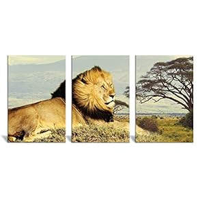 Canvas Wall Art Wild View Animals Beasts Painting Artwork for Home Prints Framed - 16"x24" x 3 Panels