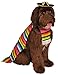 Rubie's Serape and Hat for Pets, Small