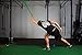 Bear KompleX Workout Looped Resistance Bands for at-Home Workouts, Durable for Pullups, Stretch Assist, Mobility, and Strength Training, Buy a Single Band or Variety Set