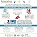 SckoonCup Beginner Choice - Made in USA - FDA Approved - Heavy Flow - Organic Cotton Pouch - Menstrual Cup - Harmony Large