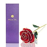 econoLED Long Stem Dipped 24k Gold Trim Red Rose in Gift Box,valentines Gifts for Couples, Cute Valentines Day Gift Ideas, Good Couple Gifts for Valentines, Romantic Anniversary Gifts(Red)