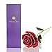 econoLED Rose Flower,Red rose, Best Gift for Valentine's Day, Mother's Day, Anniversary, Birthday Gift, Gift for Lover Mother Girlfriend, 24k Golden Plated Rose In Gift Box Red All Women Girl Gifts