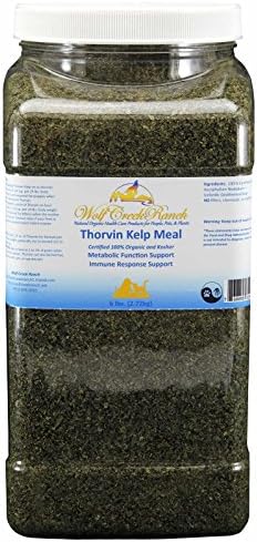 Icelandic Kelp Meal, 6lbs Jar