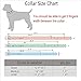 Moonpet Soft Padded Real Genuine Leather Dog Collar-Best Full Grain Heavy Duty Dog Collar-Durable Strong Adjustable for Small Medium Large X-Large Male Female Dogs Walking Training-Black,17.2-22''