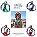 Black Rhino Heavy Duty Dog Leash for Medium and Large Dogs - 6 ft Long Double Handle Leash with Padded Traffic Control Handles and Bag for Comfort - Reflective, Durable, and Weather Resistant (Aqua)
