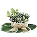 Supla Pack of 4 Artificial Echeveria Succulent Picks in Flocked Green 3.33”Wide x 5”Tall
