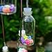 Yeyo Color Changing Solar Light Wind Chimes (Lucky Star) Multi-Color Lucky Star Hanging Windbell Light Mobile Hanging lamp for Patio Gardening Lighting Home Decoration (Wish Bottle)