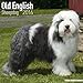 Old English Sheepdog Calendar - Breed Specific Old English Sheepdog Calendar - 2016 Wall calendars - Dog Calendars - Monthly Wall Calendar by Avonside