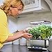 AeroGarden Harvest Grey