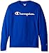 Champion Men's Cotton Long Sleeve Tee, Surf The Web/Patriotic Script, Large