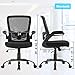 FDW Ergonomic Mesh Office Chair, Executive Rolling Swivel Chair, Computer Chair with Lumbar Support Desk Task Chair for Women, Men(Black)