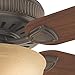 Casablanca 55006 Ainsworth Gallery 60-Inch 5-Blade Single Light Ceiling Fan, Onyx Bengal with Distressed Walnut/Dark Walnut Blades and Toffee Glass Bowl Light