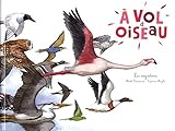 A vol d'oiseau : Les migrations by 