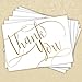 Gold Foil Thank You Note Cards / 50 Thank You Card Set / 3 1/2