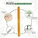 GOWO (10 Pack) Miswak Sticks Without Holders - Natural Teeth Whitening Kit - Natural Toothbrush - No Toothpaste Needed - Herbal Teeth Whitener and Breath Freshener - (Includes 10 Sticks Only)