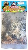 1500 Live Ladybugs - Guaranteed Live Delivery! + Good Bug Nectar