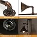 Jeteven Wall Lamps Sconces Metal Water Pipe Steampunk Style Industrial Rustic Wall Light Shade 1-Light