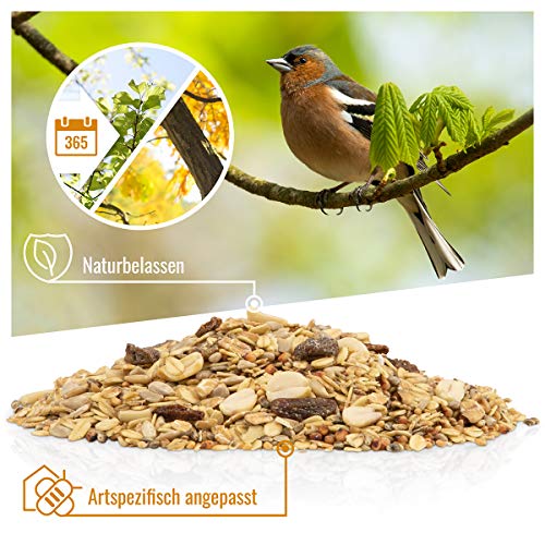 wildtier herz I Vogeltraum Schalenlos - Premium Vogelfutter, Wildvogelfutter Schalenfrei, Ganzjahresfutter mit Sonnenblumenkerne, Vogel Streufutter (5kg) – Bild 3