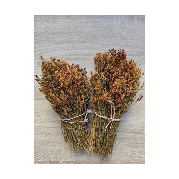 Wilder Johanniskraut-Kräutertee Ganze Bündel 220g - 1.95Kg Ernte Mai 2022 (1950 gramm) – Bild 3