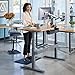 Vari Electric Standing Desk - Sit to Stand Desk - Push Button Memory Settings… (60, Butcher Block w/Crossbar)