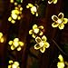 easyDecor Solar Powered String Lights 100 LED 33ft Waterproof Flexible Copper Wire Starry String Lights for Christmas Outdoor Patio Path Party Lawn Garden Wedding Party Holiday Decoration (Blossom)