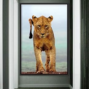signwin Framed Canvas Wall Art Lions Animals Chic...