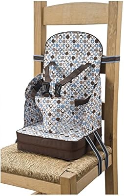 polar gear 5 point harness travel booster seat