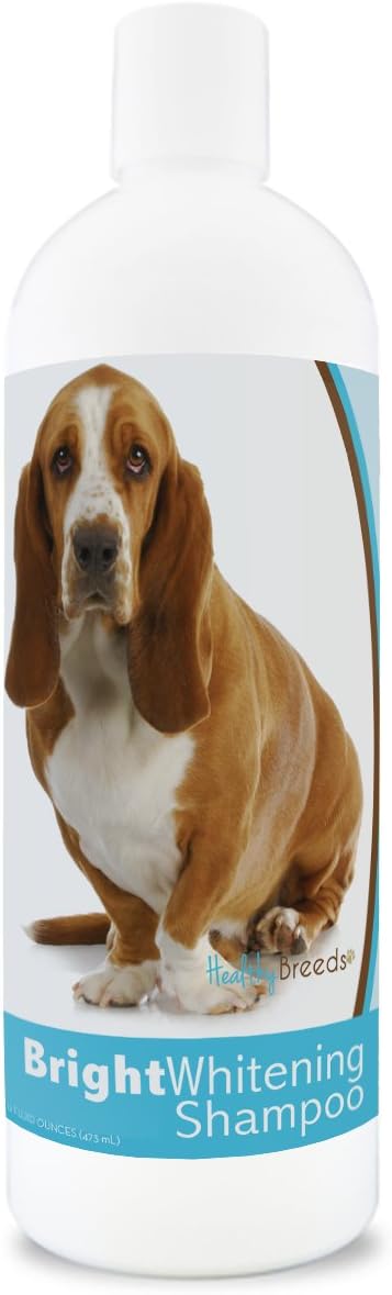 best shampoo for basset hounds