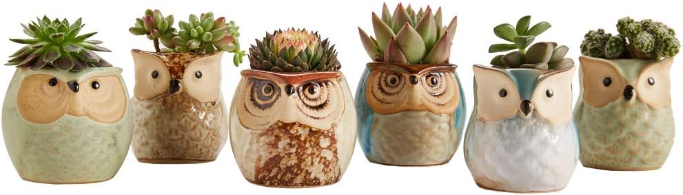 Sun-E 2.5 Inch Owl Pot Ceramic Flowing Glaze Base Serial Set Succulent Plant Pot Cactus Plant Pot Flower Pot Container Planter Bonsai Pots with A Hole Idea 6 in Set: Kitchen & Dining