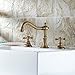 Ollypulse Double Cross Handles High Arc Widespread Bathroom Sink Faucet (Antique Brass)