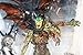 1998 MCFARLANE TOYS SPAWN SERIES 11 DARK AGES SPELLCASTER FIGURE