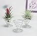 Pack of 6 Small Air Plant Holder Air Plant Base Tillandsia ionantha Fuego Planter Tillandsia Container Stainless Steel Wire Air Plant Stand Air Plant Holders Tillandsia Plant Display Racks