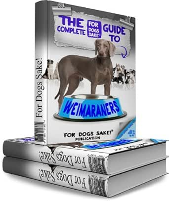 all about weimaraners