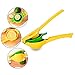 Garlic Press Citrus Squeezer Zester Kitchen Utensil Set 3-pack, Premium Metal Lemon Lime Press Juicer Stainless Steel Professional Garlic Ginger Smasher Cheese Grater