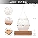 Creative Fashion Desktop Water Drop Decoration Seventeenth Century European Weather Forecast Storm Glass Weather Station (Small)
