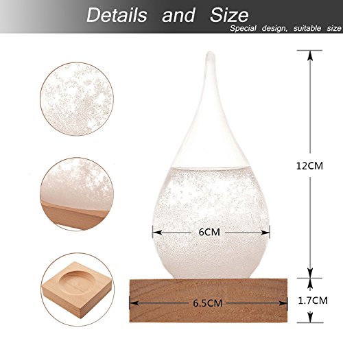 Hotbest Creative Fashion Desktop Water Drop Decoration Seventeenth Century European Weather Forecast Storm Glass Weather Station (Small)